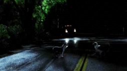 Shapeshifter.gif