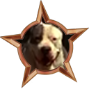 File:Badge-welcome.png