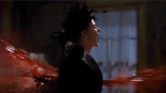 File:Cats4.jpg