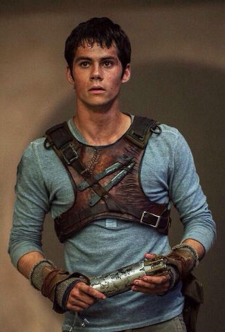 Plik:-Thomas-the-maze-runner-37674333-500-738.jpg
