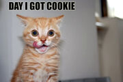 Day i got cookie