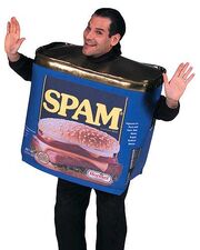 2007-08-02Spam