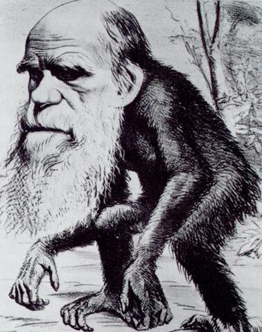 File:Charles Darwin ape.jpg