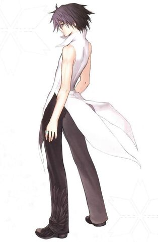 File:96501-haseo last episode super.jpg