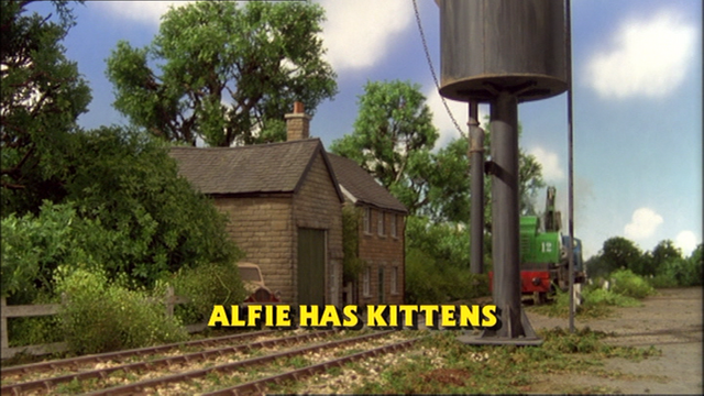 File:AlfiehasKittensTitleCard.png