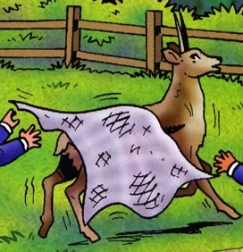 File:TheAfricanDeer.png