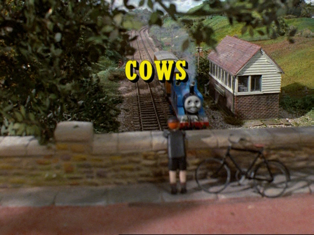 File:Cowsrestoredtitlecard.png