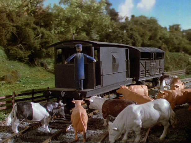 File:Cows11.png
