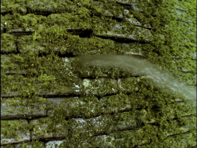 File:TobyAndTheFlood38.png
