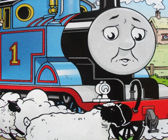 File:SeeingSheep!2.jpg