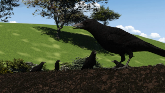 File:ThomasTootstheCrows14.png
