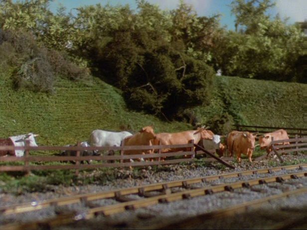 File:Cows7.png