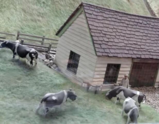 File:CowsDraytonManor.jpeg