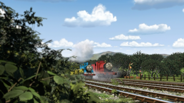 File:ThomasAndThePigs31.png