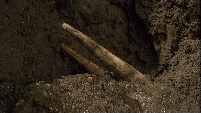 File:AVisitFromThomas31.png