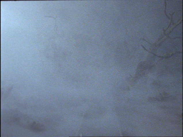 File:HauntedHenry7.png