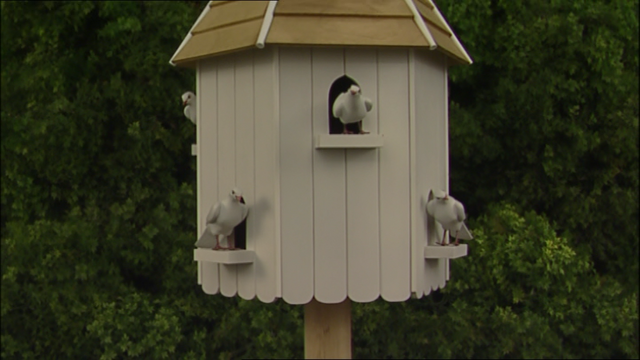 File:Toby'sNewShed58.png
