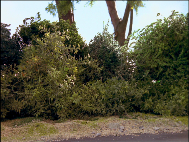 File:GordonandtheGremlin63.png