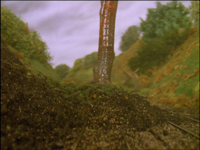 File:JamesandtheTroublewithTrees71.png