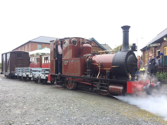 File:Dolgoch2015.jpg