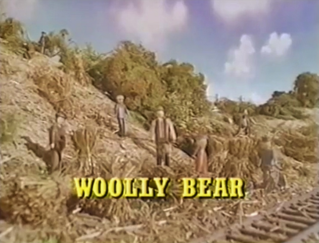 File:WoollyBearUSTitleCard2.png