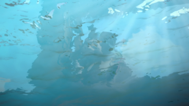 File:TheGreatRace253.png