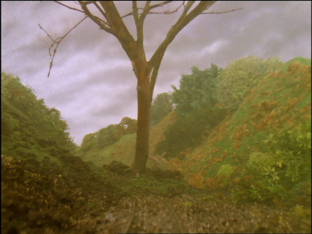 File:JamesandtheTroublewithTrees73.png