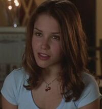 Sophia Bush 4