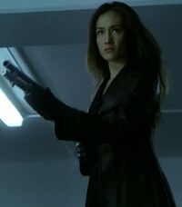 Maggie Q 5