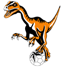 Lady Raptors
