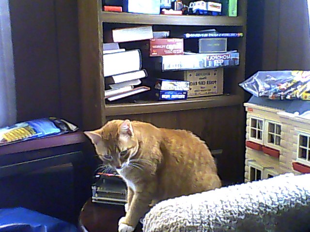 File:Snapshot 20110129.jpg