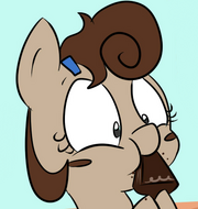 Cookieportrait