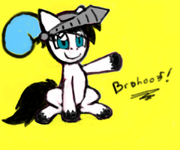 Brohoof