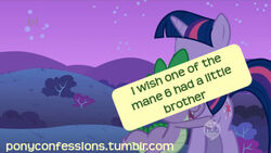 Ponyconfessions example
