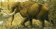 Mastodont amerykański