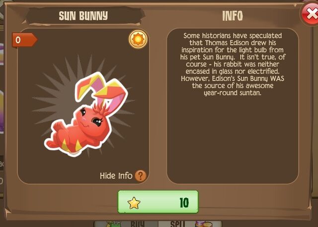 File:Sun Bunny 2 (Info).jpg