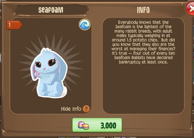 File:Seafoam Bunny 2 (Info).jpg