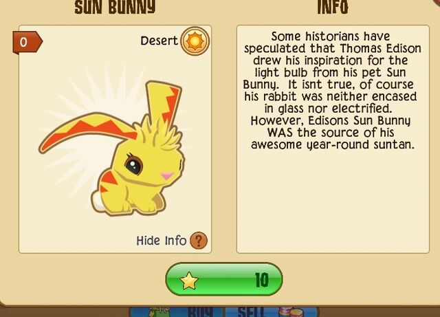 File:Sun Bunny.jpg