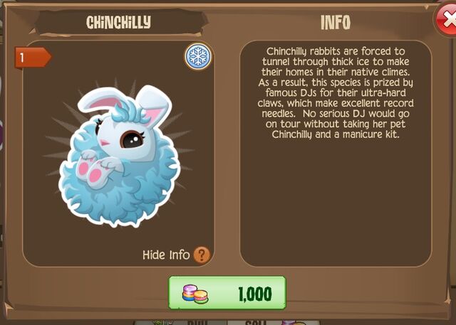 File:Chinchilly Bunny 2 (Info).jpg