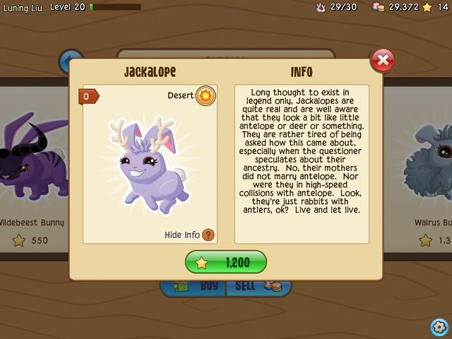File:Jackalope 2.jpg