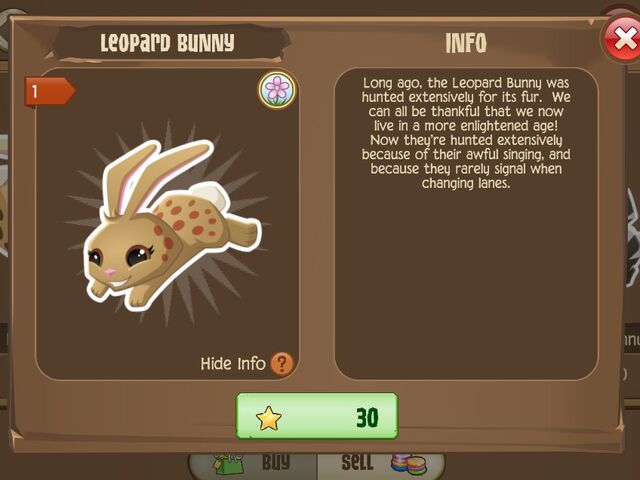 File:Leopard Bunny 2 (Info).jpg