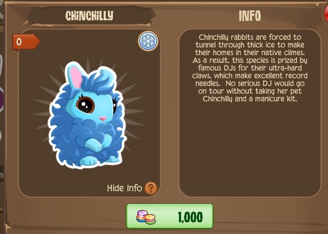 File:Chinchilly Bunny 1 (Info).jpg