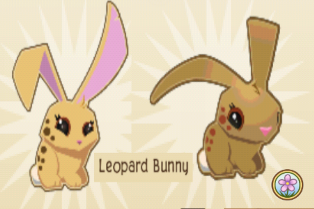 File:LeopardBunnies.png