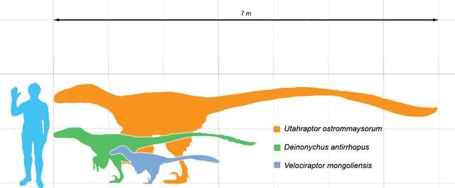 File:Dromie scale-1-.png
