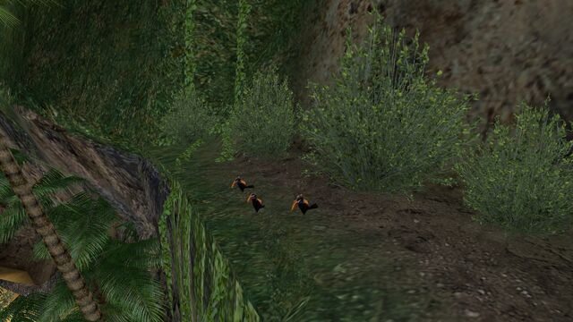 File:Animalia (101).jpg