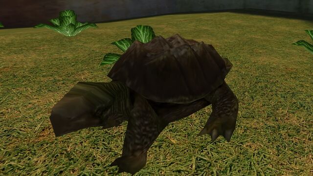 File:Zoo Animals.jpg