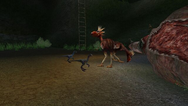 File:Animalia (15).jpg