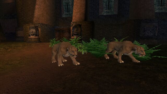 File:Animalia (515).jpg