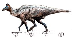 Hadrosaur
