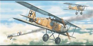 Albatross